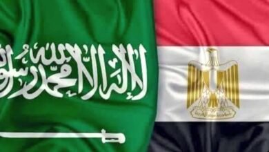 اجتماع سعودي مصري لبحث تعزيز العلاقات