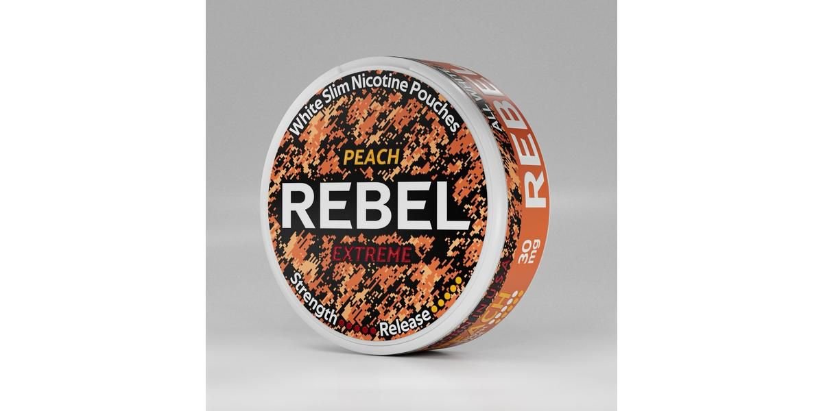 REBEL ترتقي إلى القمة عبر أوروبا… والأسواق تفتح أعينها على نموذج قابل للتطبيق