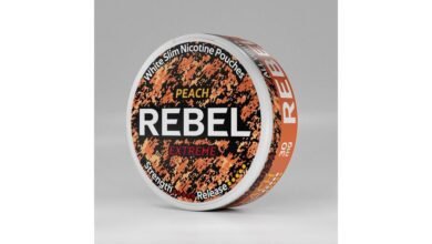 REBEL ترتقي إلى القمة عبر أوروبا… والأسواق تفتح أعينها على نموذج قابل للتطبيق
