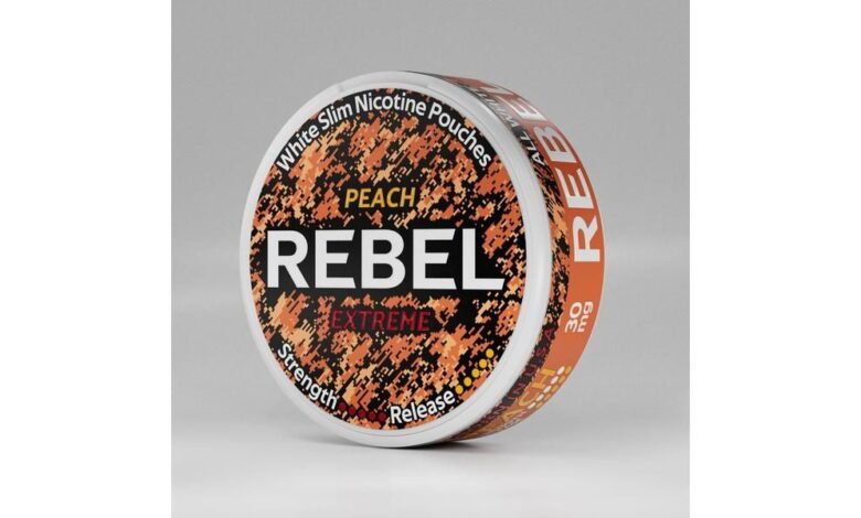 REBEL ترتقي إلى القمة عبر أوروبا… والأسواق تفتح أعينها على نموذج قابل للتطبيق