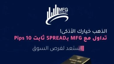 صورة توضيحية - mfg invest من هي؟ تعريف شركة MFG Invest ونشاطها في الأسواق المالية