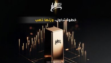شركة MFGinvest تكشف عن رؤية جديدة للنمو والاستثمار المستدام