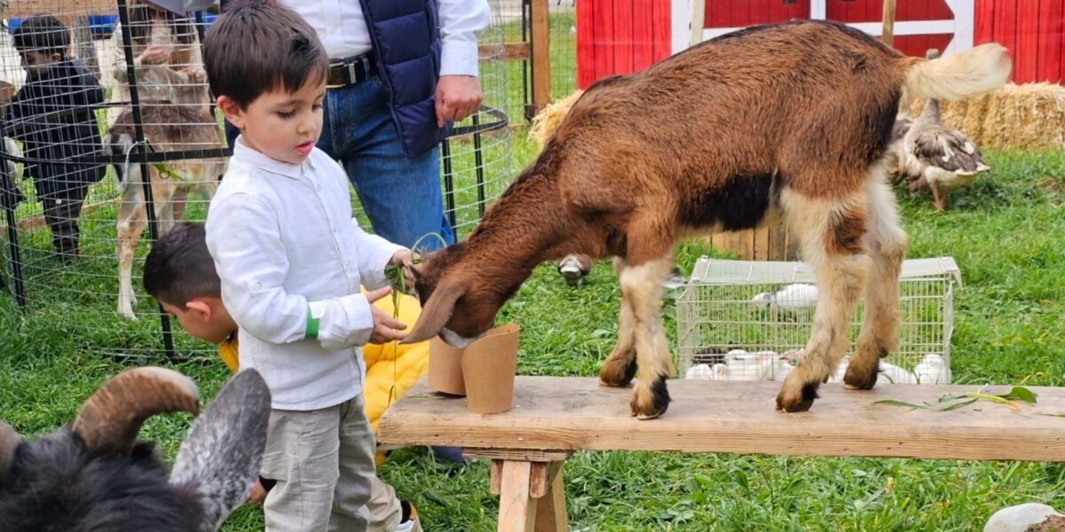 شركة MM Horses and Animals بصمة في عالم الترفيه للأطفال من خلال مزرعة متنقلة!